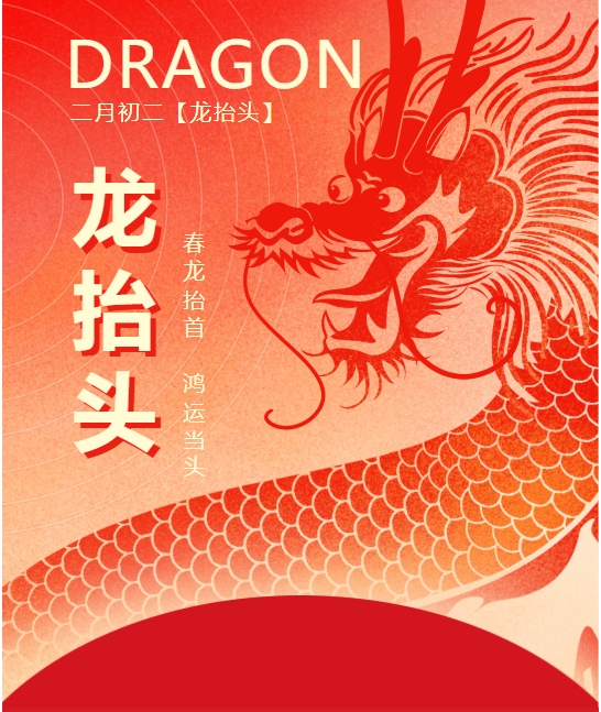 二月二龍?zhí)ь^，春龍振翅鴻運(yùn)啟 —— 佳木斯網(wǎng)云信息科技有限公司與您共迎新春盛景